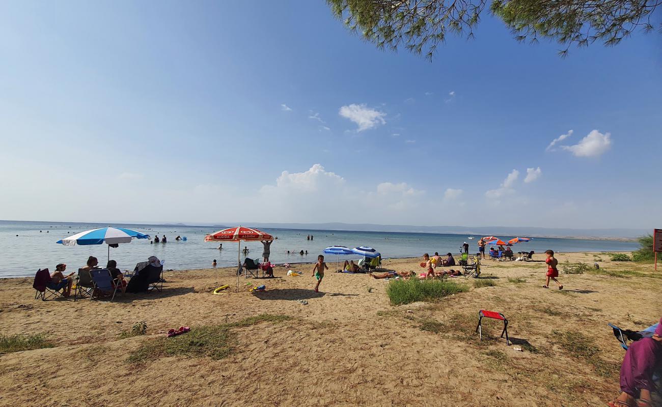 Saroz Plaj'in fotoğrafı açık bej kum yüzey ile