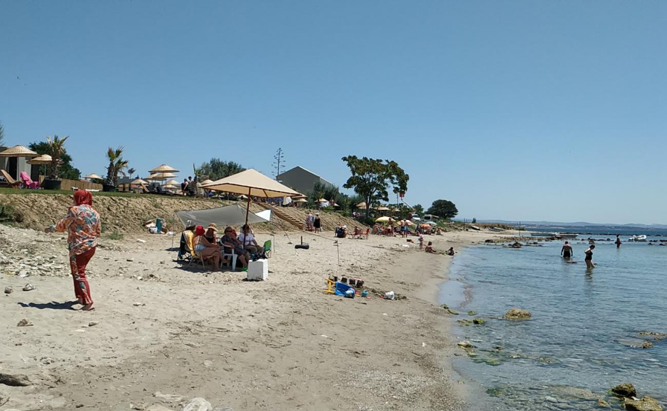 Ertuğrul Koyu'in fotoğrafı açık bej kum yüzey ile