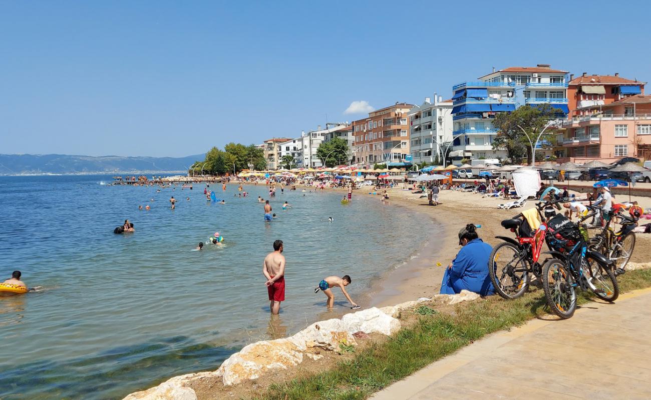 Karamürsel Plaji'in fotoğrafı açık bej kum yüzey ile