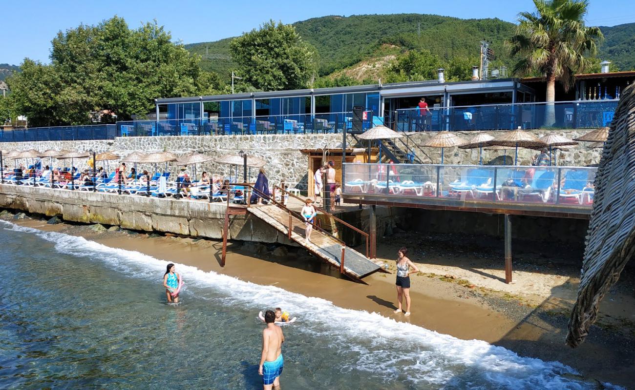 Kaya Garden Plaji'in fotoğrafı beton kaplı yüzey yüzey ile