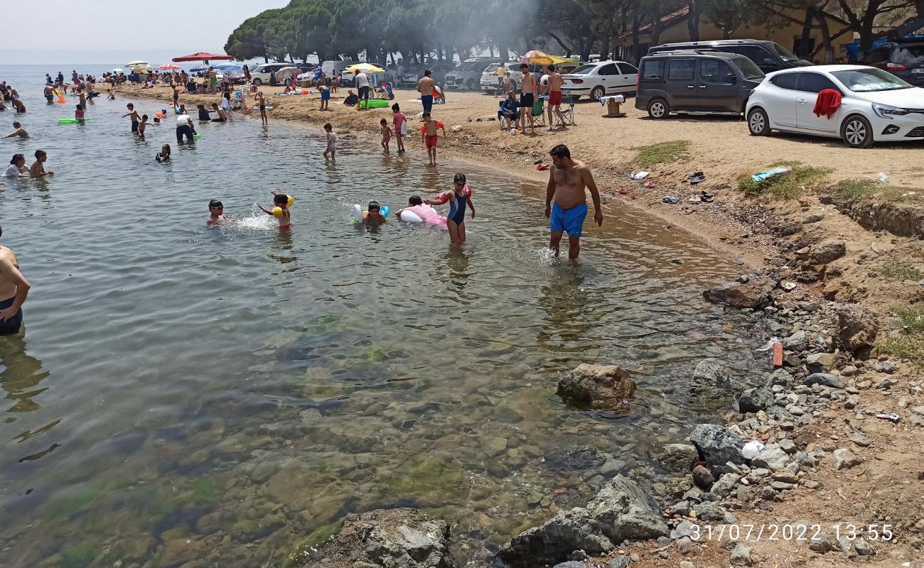 Çamlık Plaj'in fotoğrafı bej kum ve çakıl yüzey ile