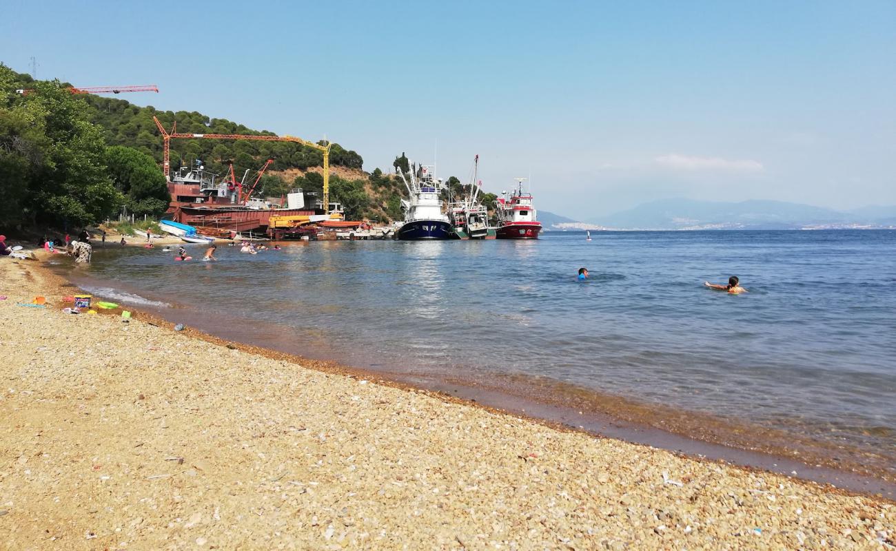 OnayCamping Plaji'in fotoğrafı gri çakıl taşı yüzey ile