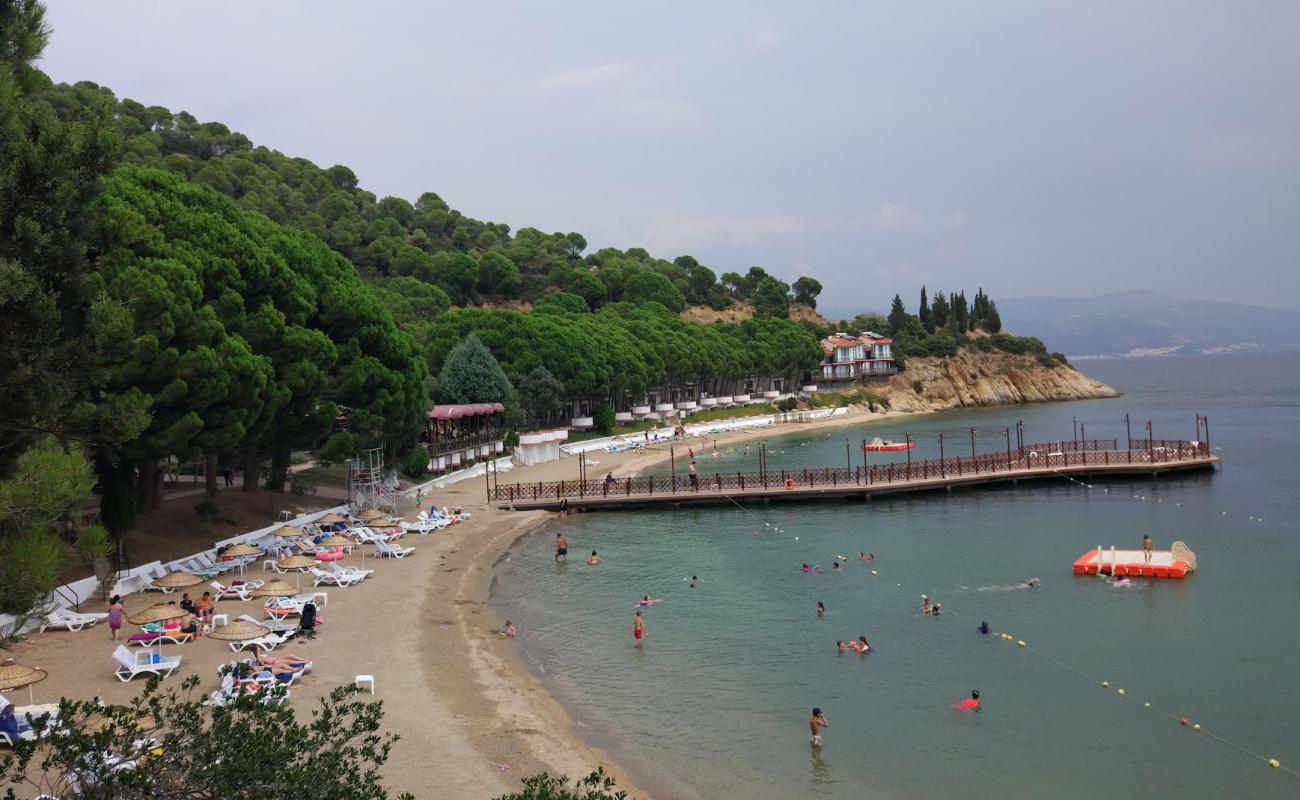 Karayolları Narlı Kampı Plaji'in fotoğrafı açık bej kum yüzey ile