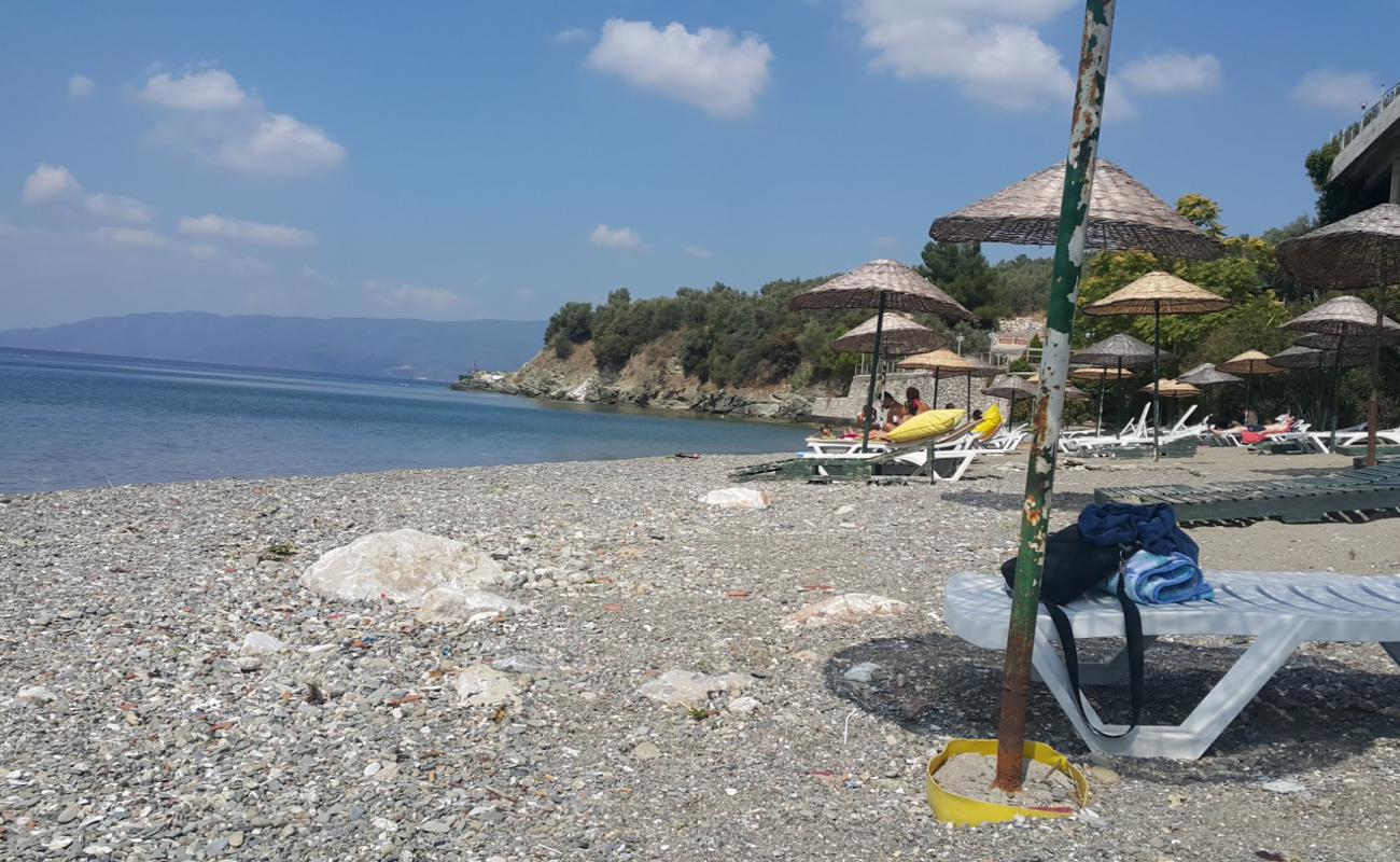 Atamer Doga Plaji'in fotoğrafı gri kum ve çakıllar yüzey ile