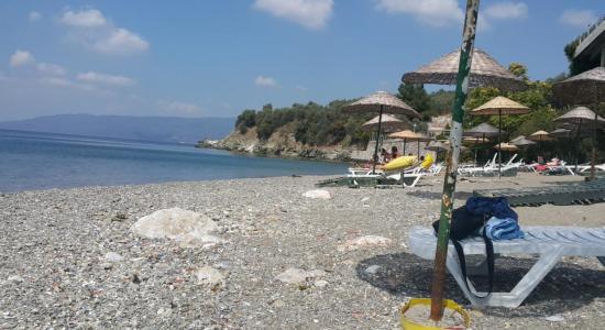 Atamer Doga Plaji