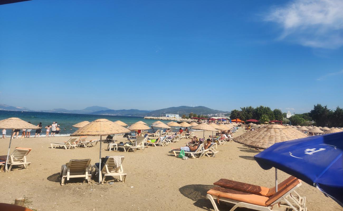Mudanya Plaji'in fotoğrafı açık bej kum yüzey ile