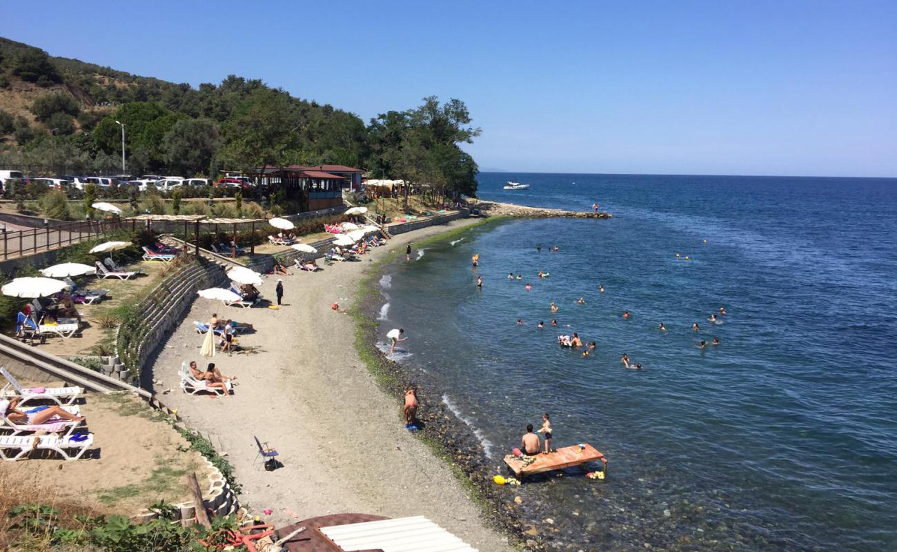 Saklı Koy Mudanya Plaji'in fotoğrafı gri kum ve çakıllar yüzey ile