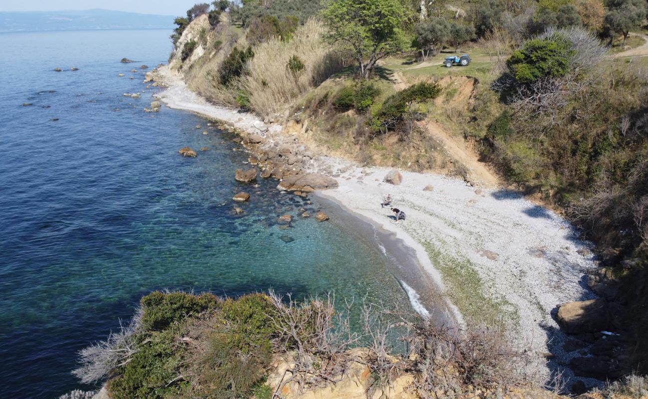 Aya Yani Plaji'in fotoğrafı gri kum ve çakıllar yüzey ile