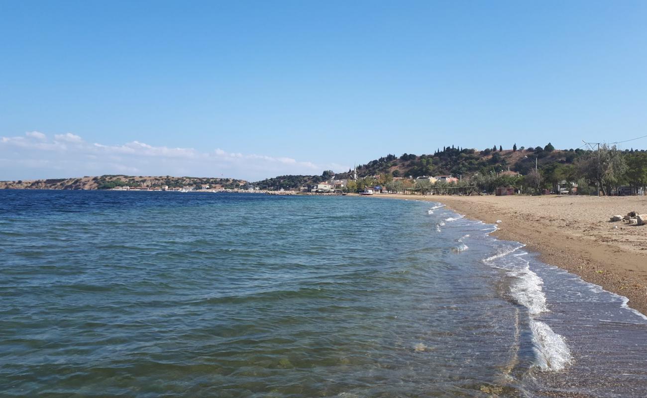 Kemer Yolu Plaji'in fotoğrafı açık bej kum yüzey ile