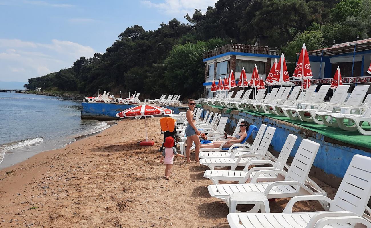Aya Nikola Plajı'in fotoğrafı gri kum yüzey ile
