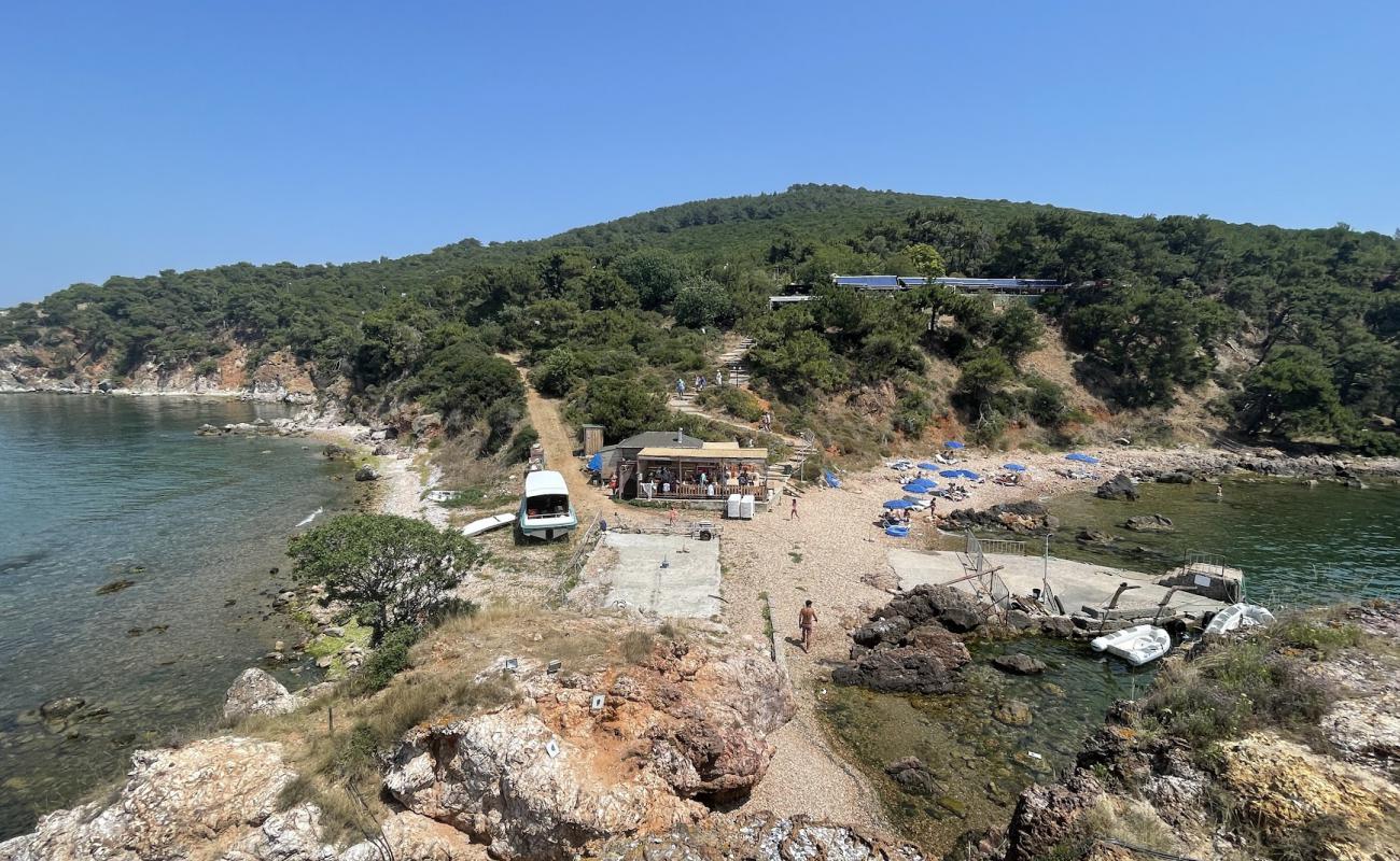 Kalpazankaya Plajı'in fotoğrafı kayalık arazi yüzey ile