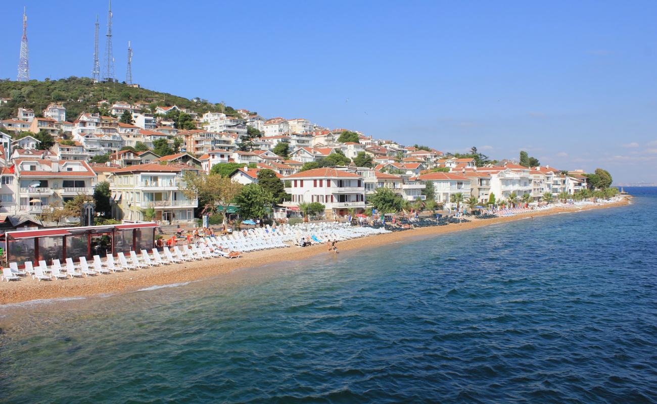 Kinaliada Maviyeşil Plaji'in fotoğrafı gri çakıl taşı yüzey ile