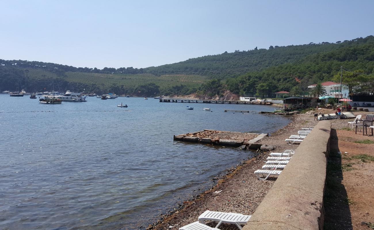 Çam Limanı Koyu'in fotoğrafı kayalık arazi yüzey ile