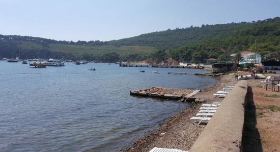 Çam Limanı Koyu
