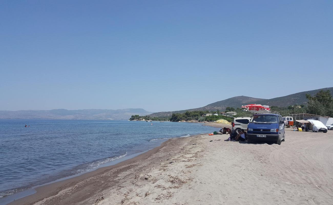 Deniz Çadır Kamp Plaji'in fotoğrafı küçük gri çakıllar yüzey ile