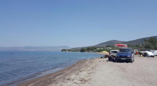 Deniz Çadır Kamp Plaji