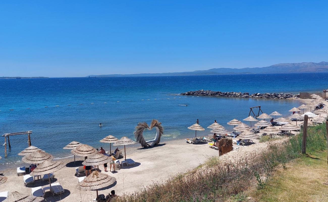 Qum Plaji'in fotoğrafı açık bej kum yüzey ile
