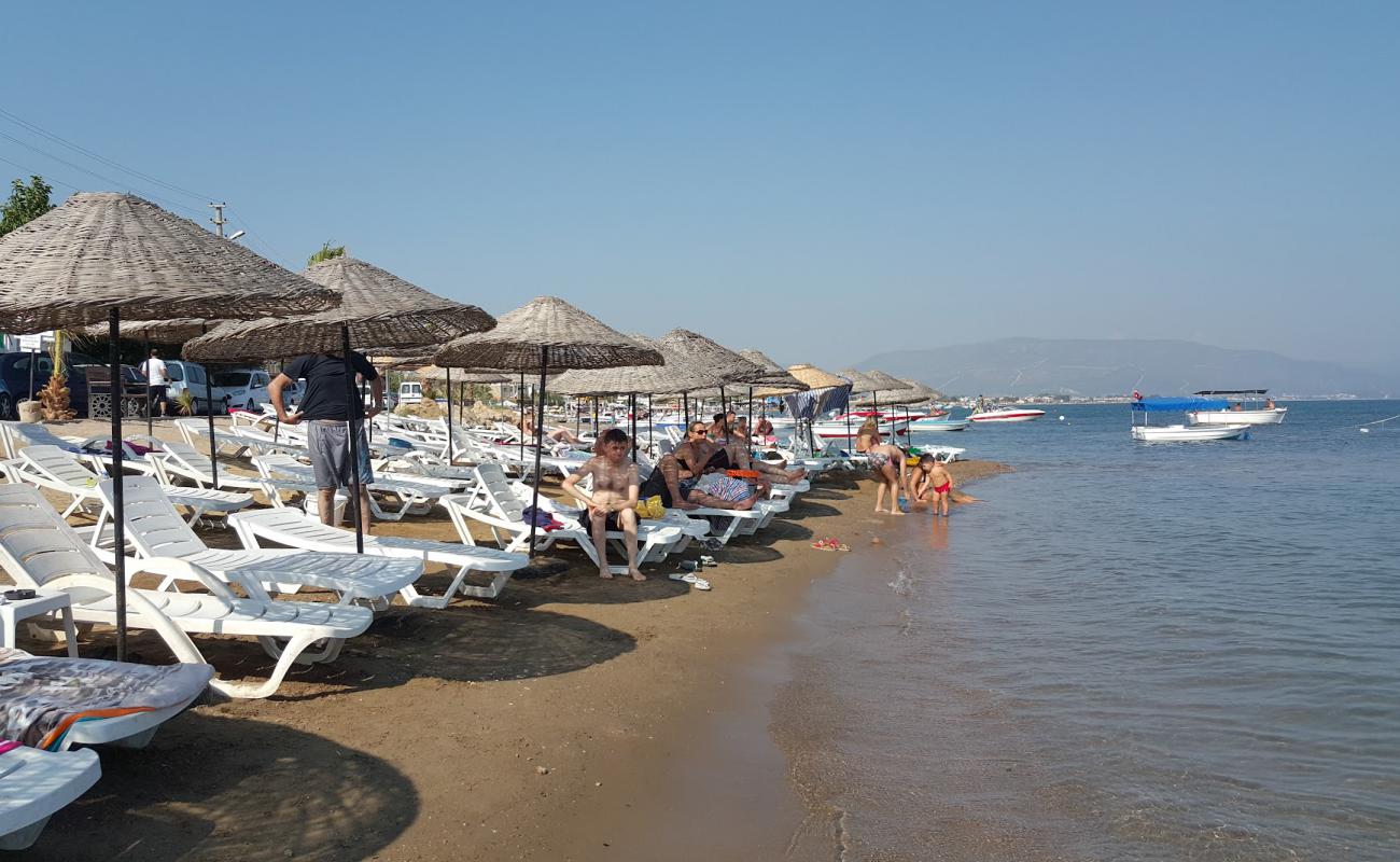 Sakız Ağacı Plaji'in fotoğrafı açık bej kum yüzey ile
