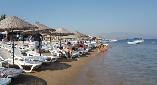 Sakız Ağacı Plaji