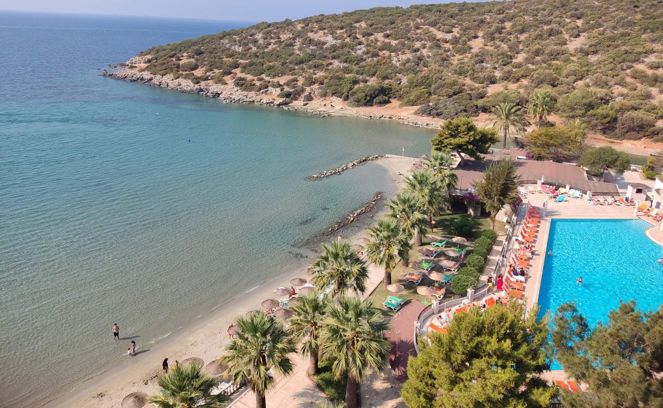 Tusan Plaji'in fotoğrafı açık bej kum yüzey ile