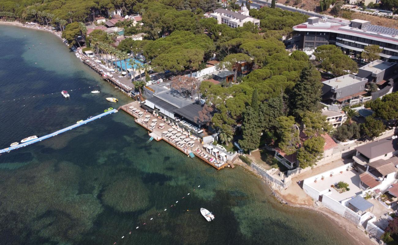Unique Life Style Hotel Plaji'in fotoğrafı beton kaplı yüzey yüzey ile