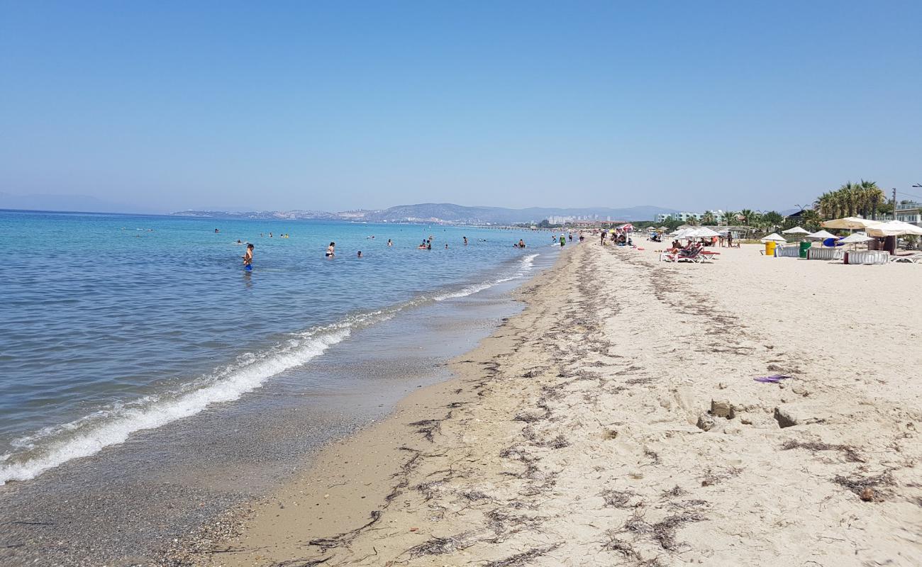 Davutlar Plajı'in fotoğrafı açık bej kum yüzey ile