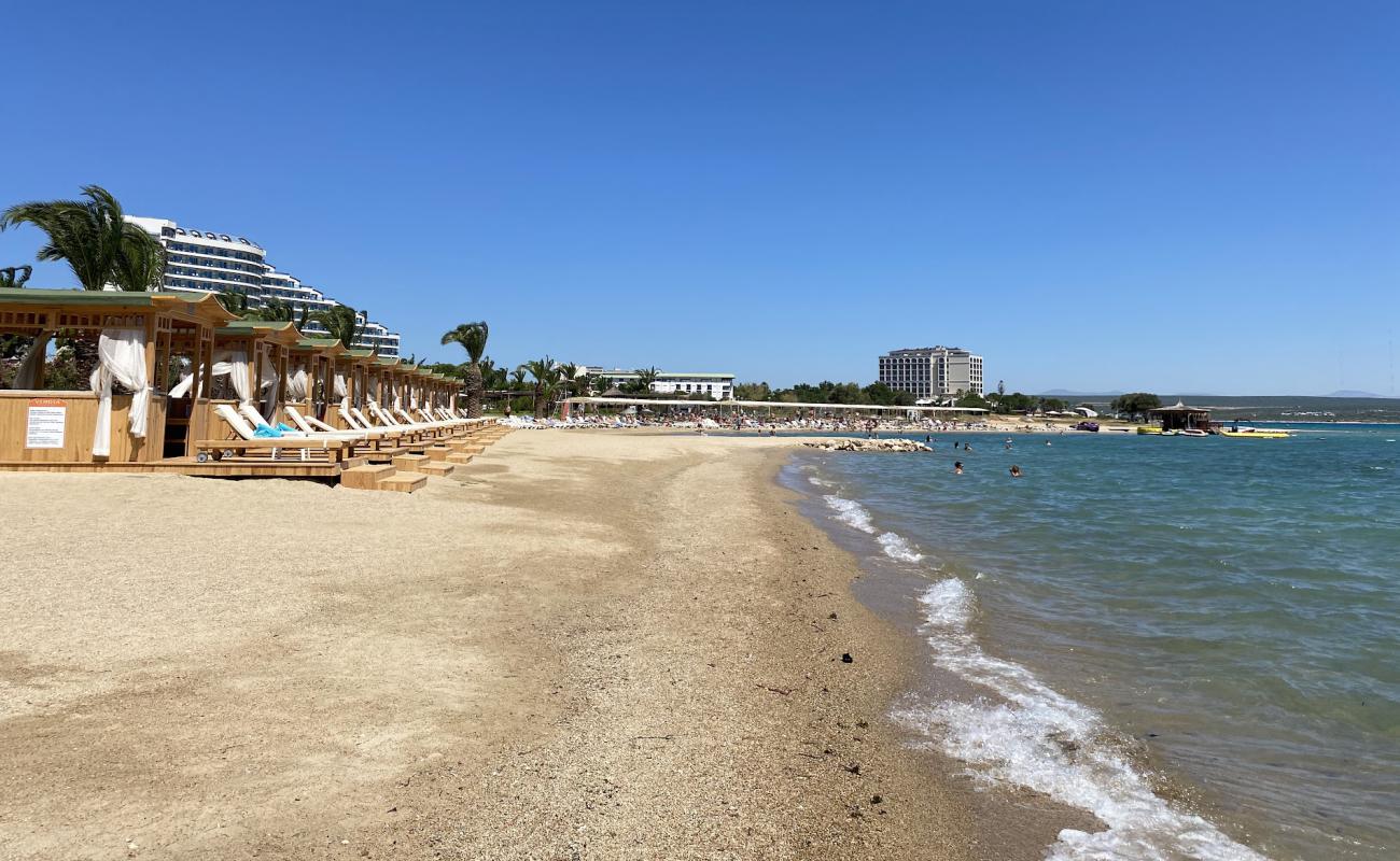 Venosa Plaji'in fotoğrafı açık bej kum yüzey ile
