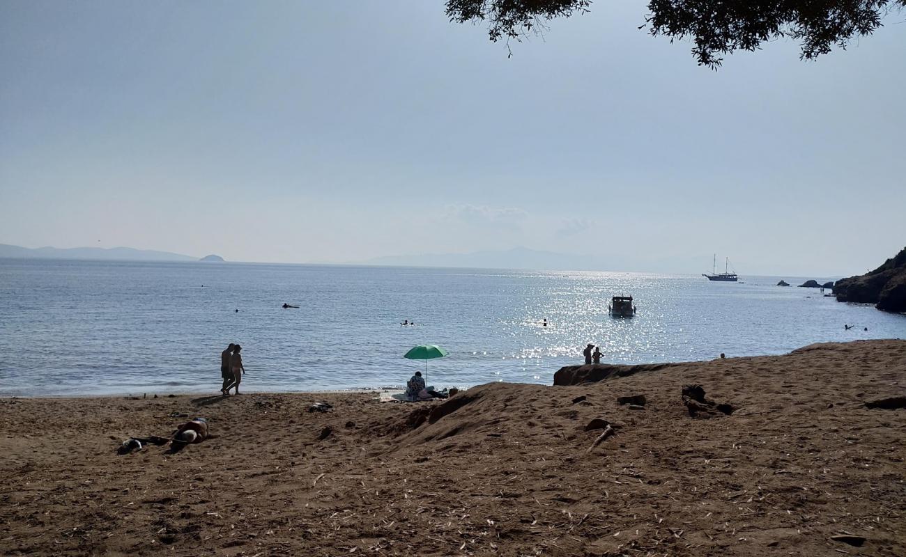 Asko Sahili'in fotoğrafı açık bej kum yüzey ile