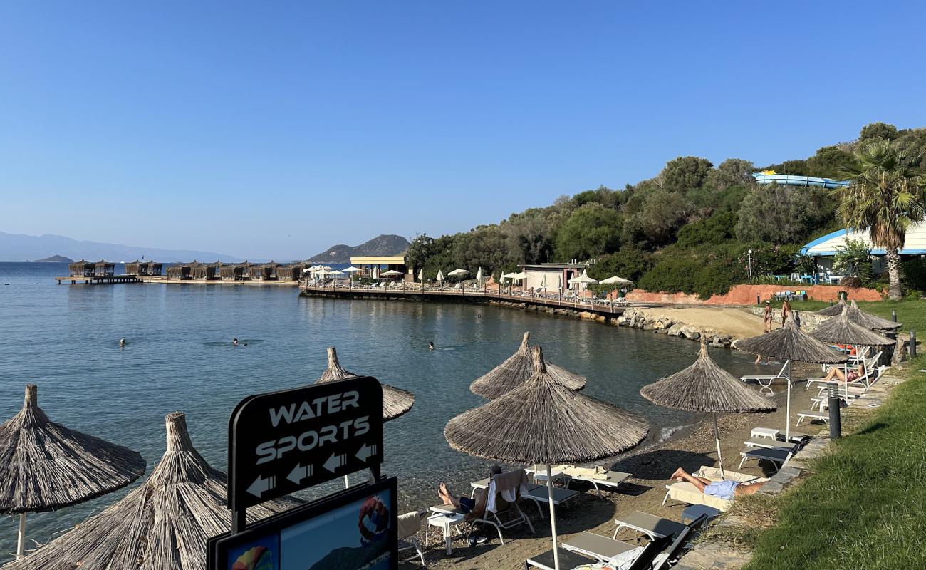 Yasmin Bodrum Plaji'in fotoğrafı gri kum yüzey ile