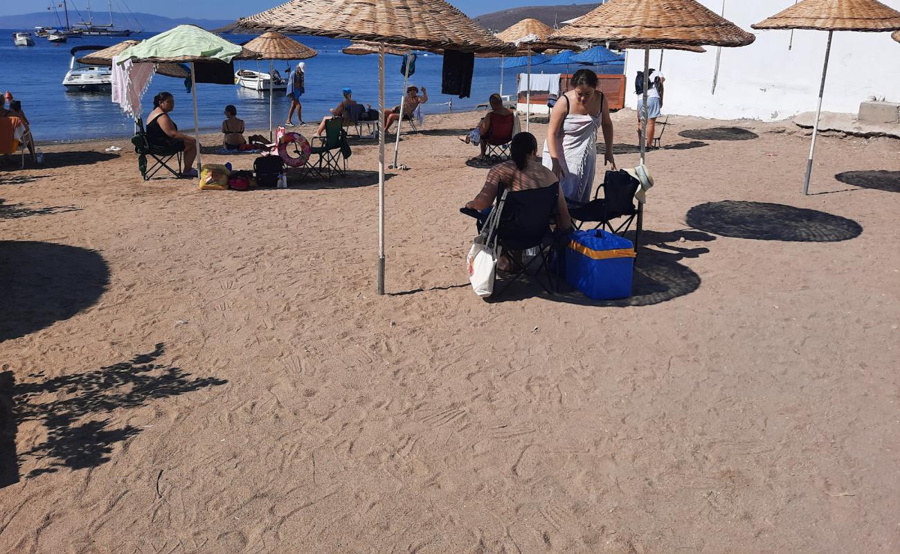 Ortakent Müskebi Halk Plajı'in fotoğrafı gri kum yüzey ile