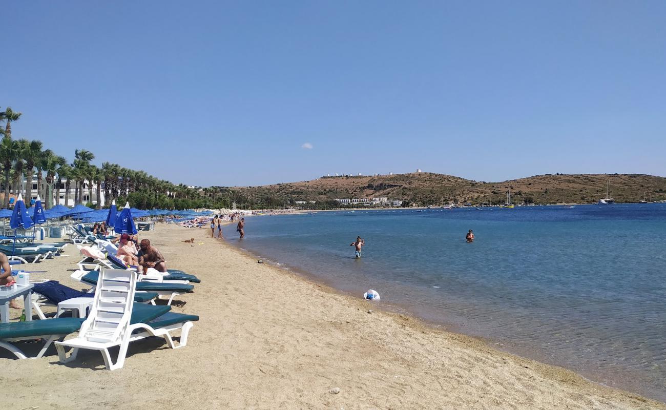 Gümbet Sahil'in fotoğrafı gri kum yüzey ile