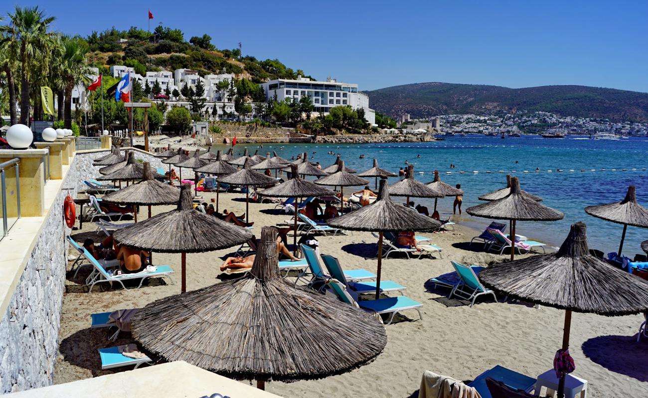 Bardakçı Koyu'in fotoğrafı açık bej kum yüzey ile