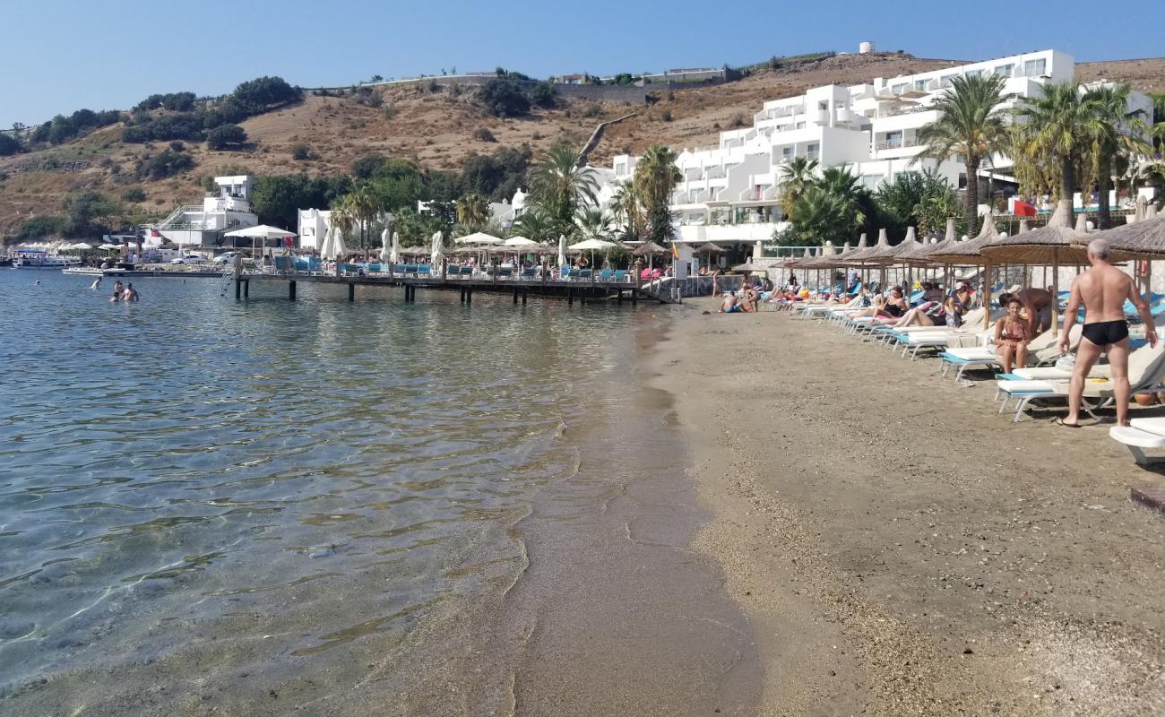 Bi Beach Club'in fotoğrafı beton kaplı yüzey yüzey ile