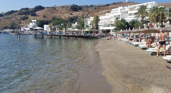 Bi Beach Club