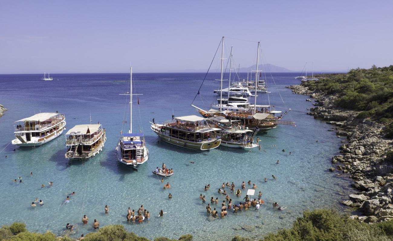 Orak Island Bay'in fotoğrafı kayalık arazi yüzey ile