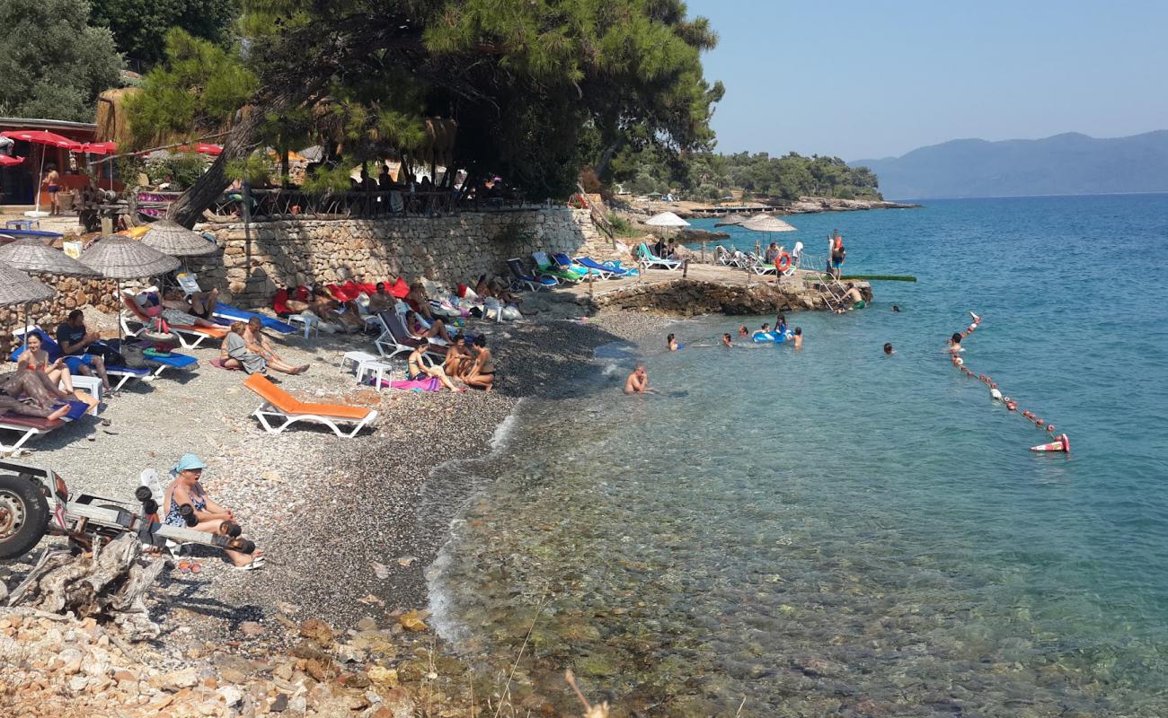 Çardak Plaj'in fotoğrafı gri çakıl taşı yüzey ile