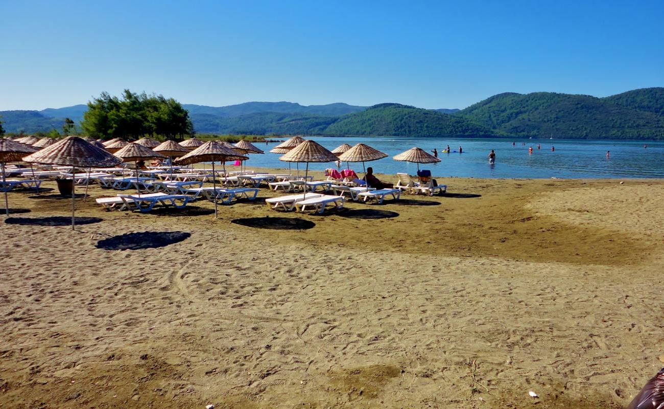 Azmak Plaji'in fotoğrafı gri kum yüzey ile