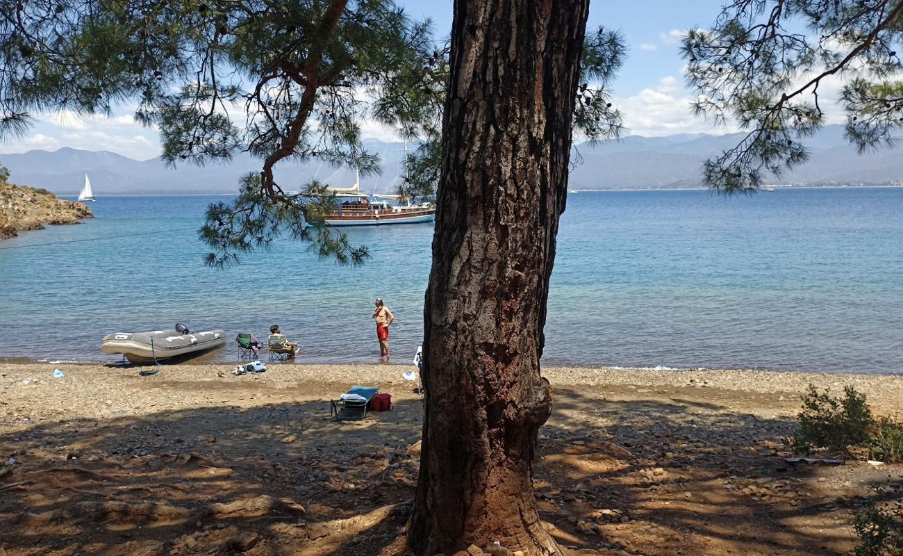 Gazi Koyu'in fotoğrafı gri çakıl taşı yüzey ile