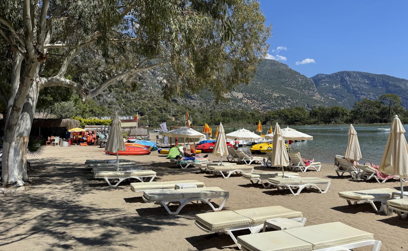 Sugar Plaji Club Ölüdeniz'in fotoğrafı açık bej kum yüzey ile