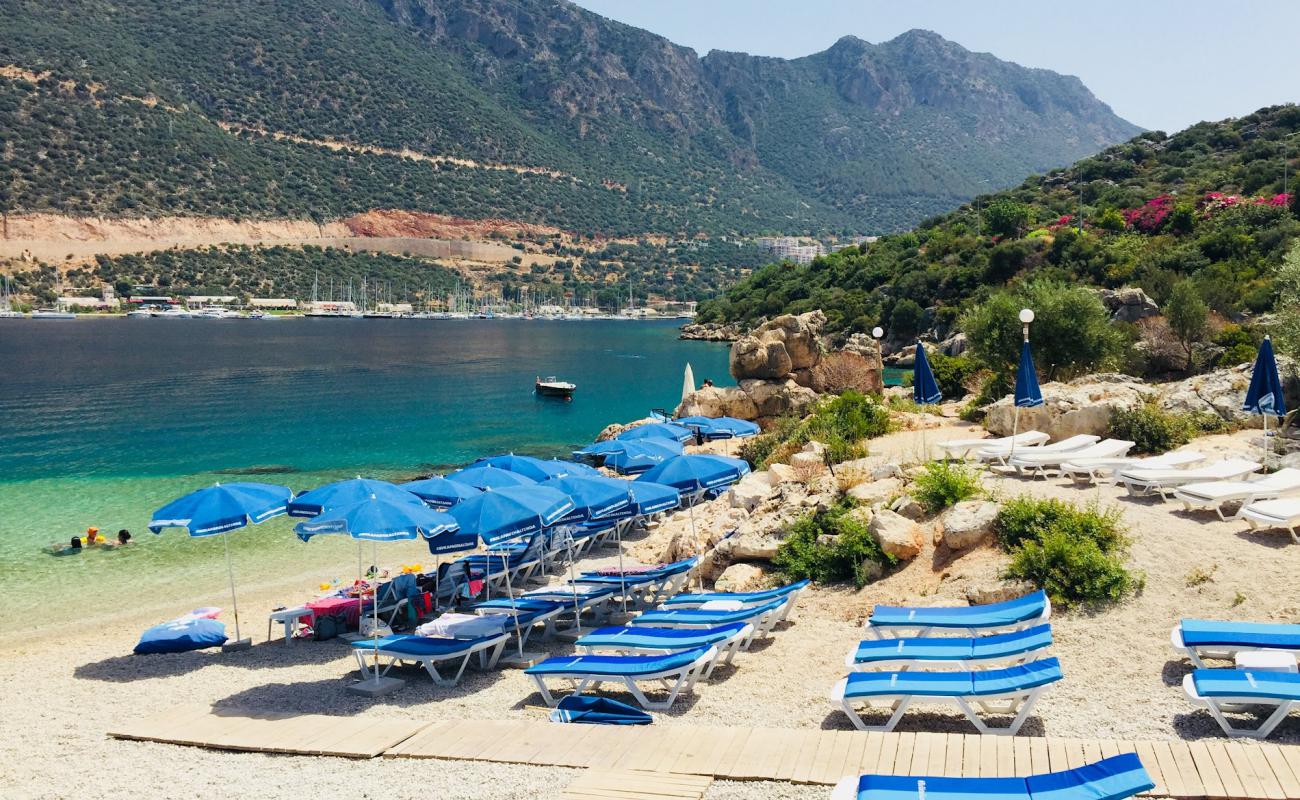 Inceboğaz Çınar Plaji'in fotoğrafı küçük gri çakıllar yüzey ile