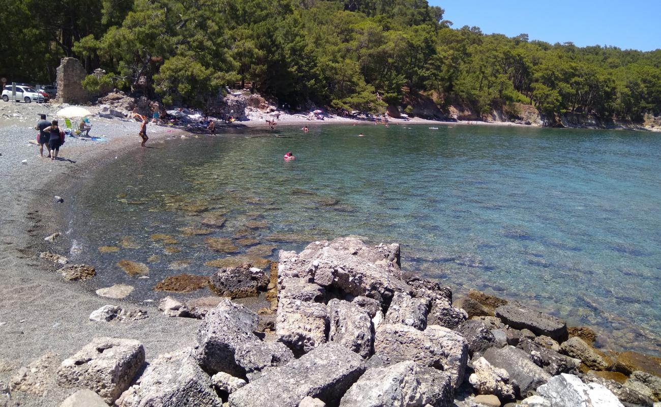 Phaselis Liman Kalıntıları Plaji'in fotoğrafı taşlı kum yüzey ile