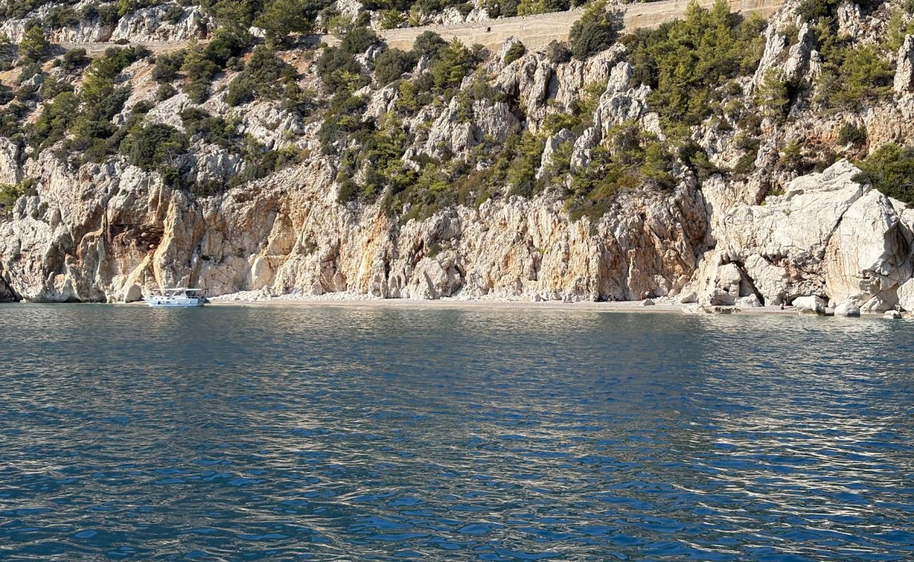 Wild Beach Büyük Çaltıcak'in fotoğrafı küçük gri çakıllar yüzey ile