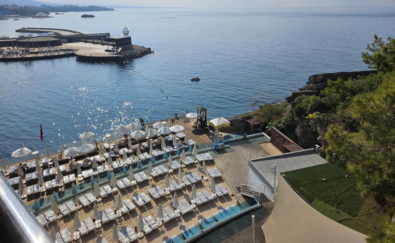 Utopia Family Resort Plaji'in fotoğrafı beton kaplı yüzey yüzey ile