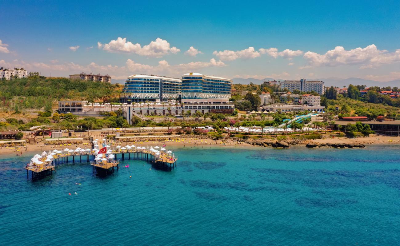 Wikingen Plaji'in fotoğrafı açık bej kum yüzey ile