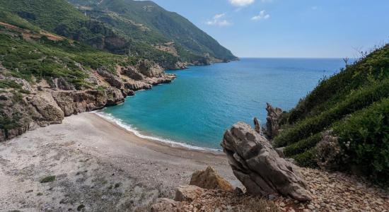 Saydak Plajı