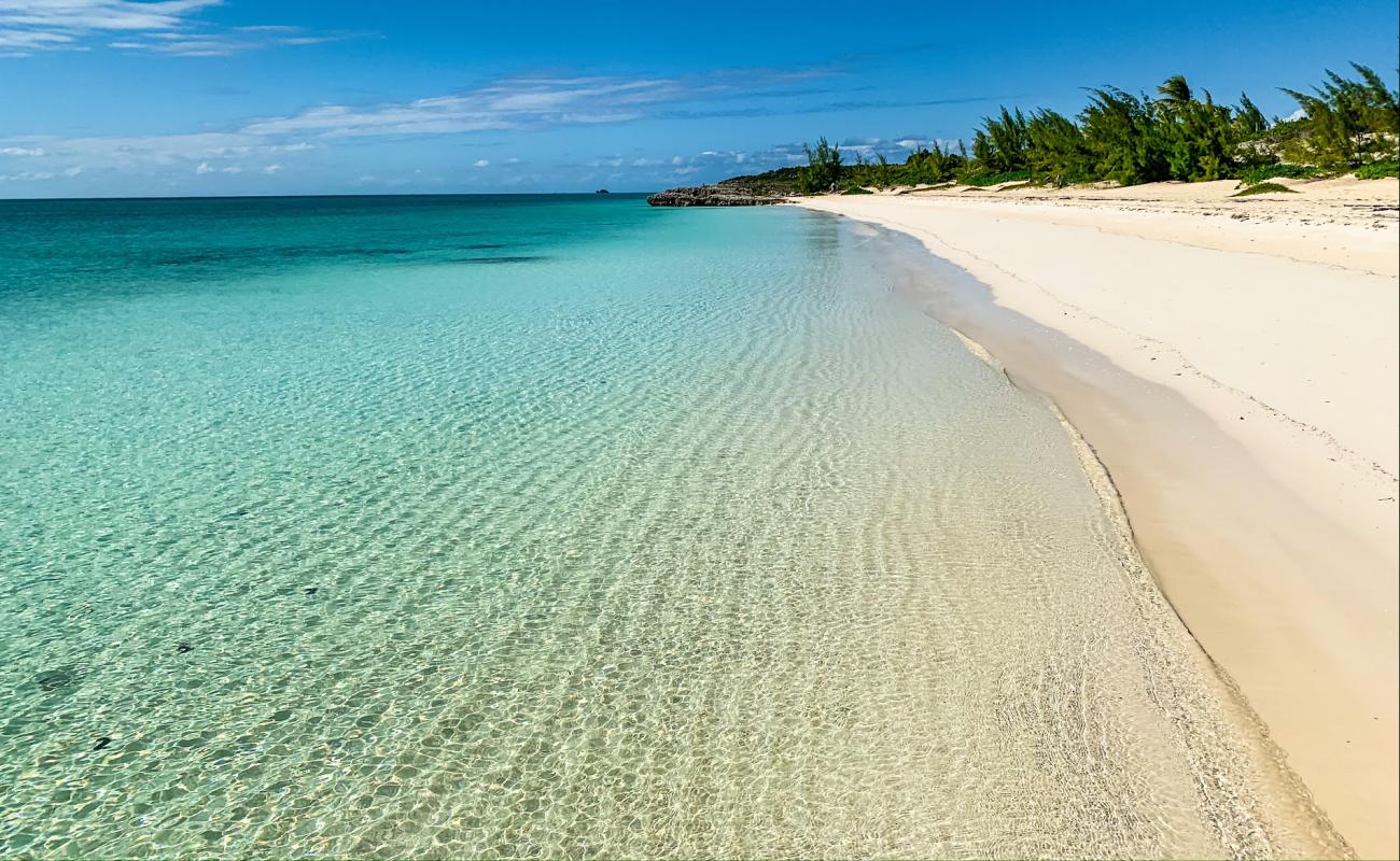 Taylor Bay beach'in fotoğrafı parlak ince kum yüzey ile