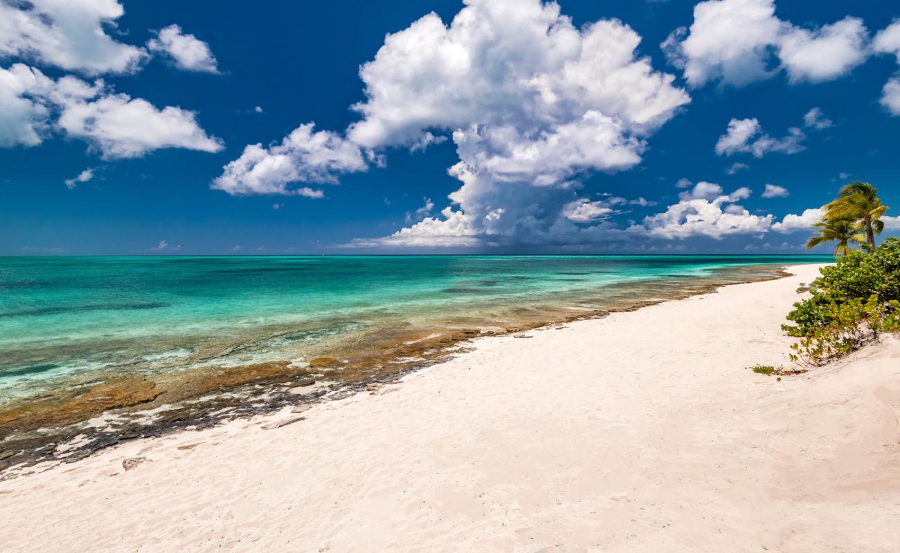 Turtle cove'in fotoğrafı #86 yüzey ile