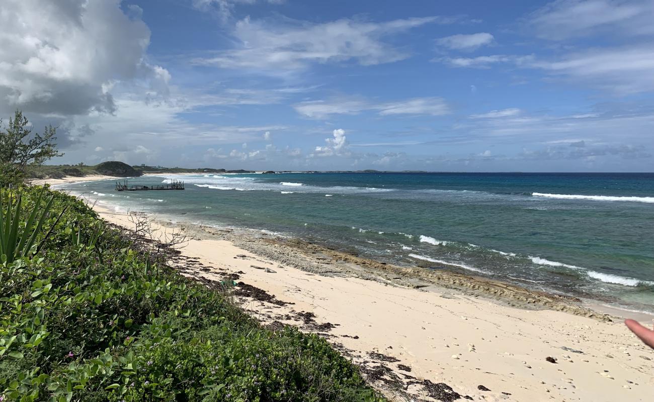 Conch Bar beach'in fotoğrafı açık bej kum yüzey ile