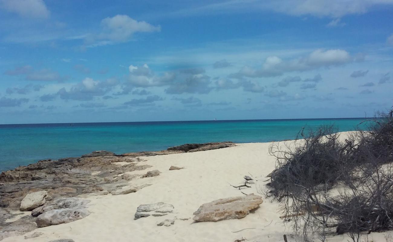 English Point beach'in fotoğrafı bej kum ve kayalar yüzey ile