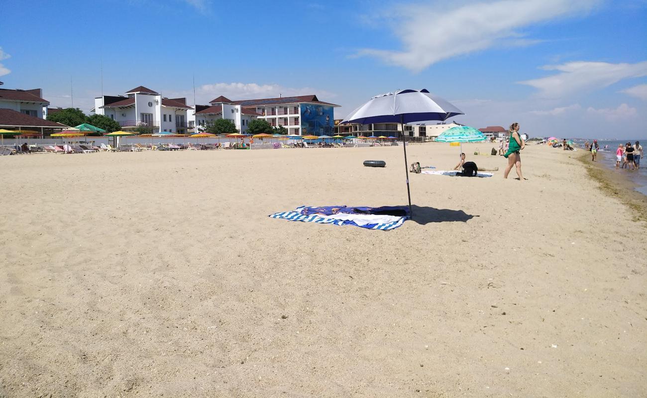 Zatoka Plyazh'in fotoğrafı açık bej kum yüzey ile